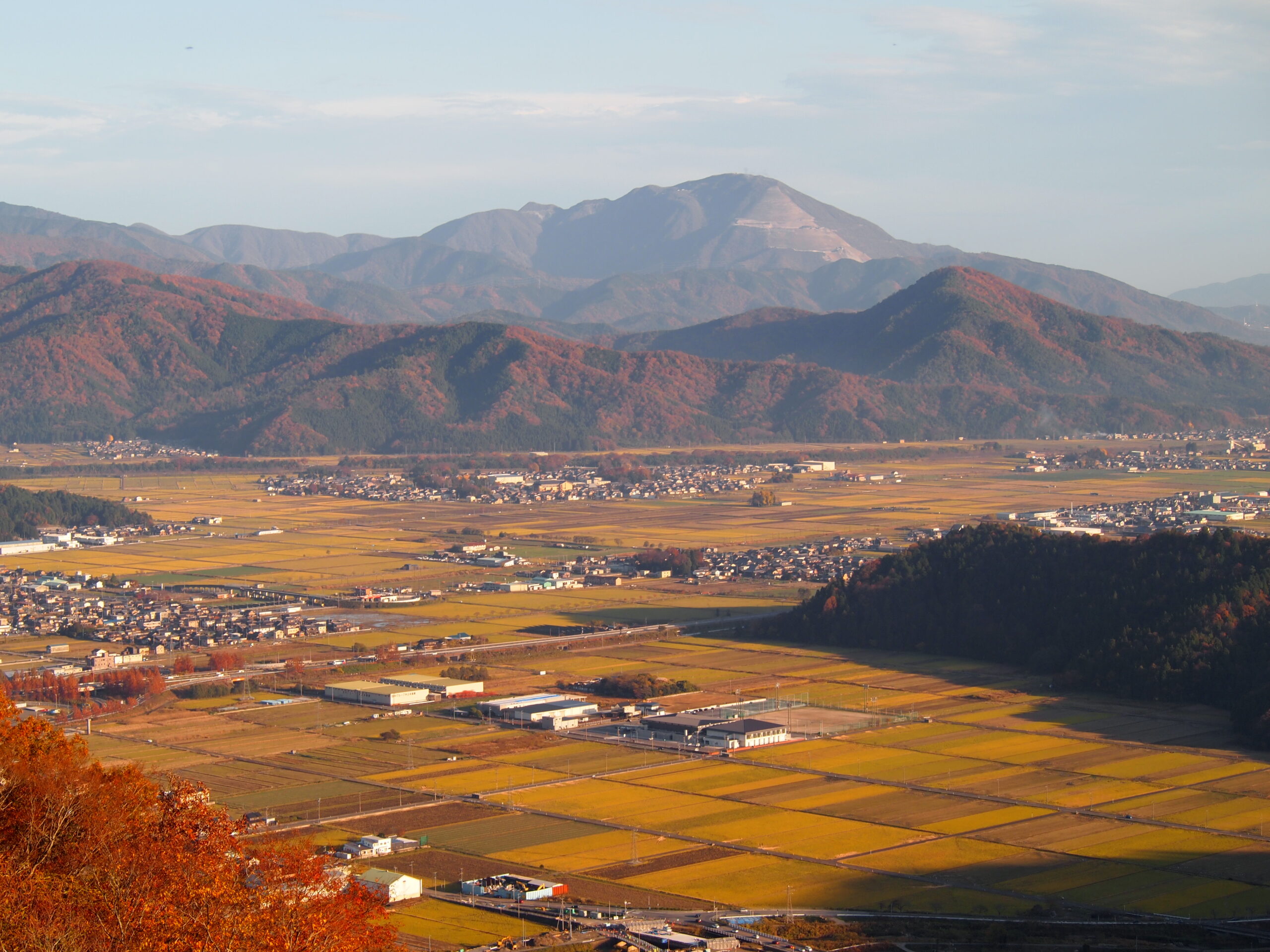 撮りにこんせ‼フォトコンテスト|滋賀・長浜北部|11月07日2枚目 色づく長浜のまち