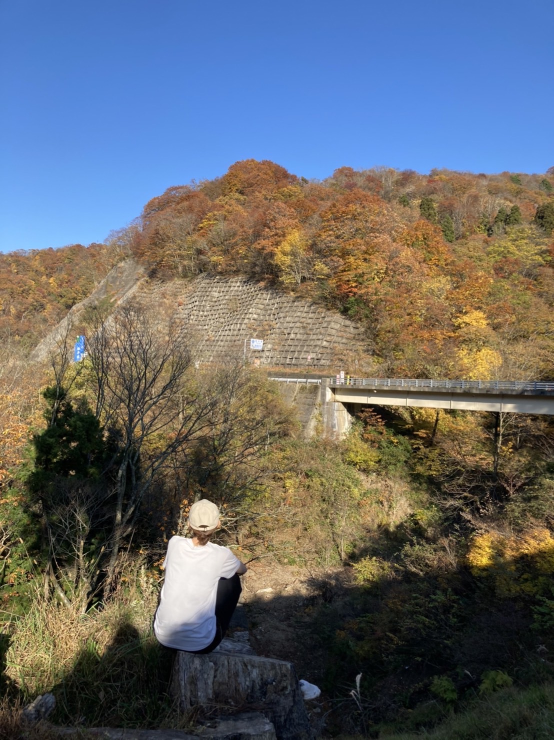 撮りにこんせ‼フォトコンテスト|滋賀・長浜北部|11月07日4枚目 滋賀県最北の紅葉