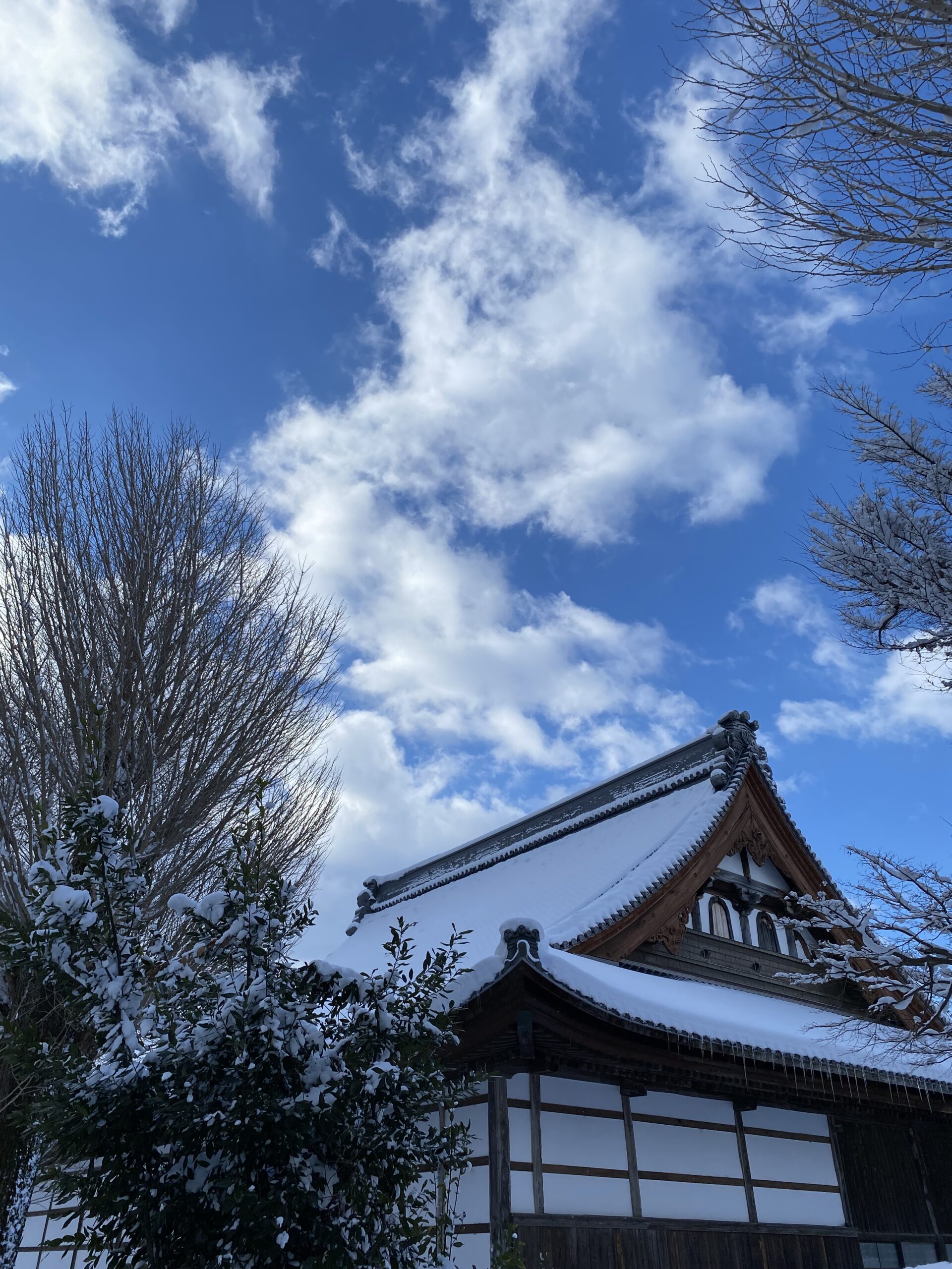 撮りにこんせ‼フォトコンテスト|滋賀・長浜北部|11月07日6枚目 雪化粧