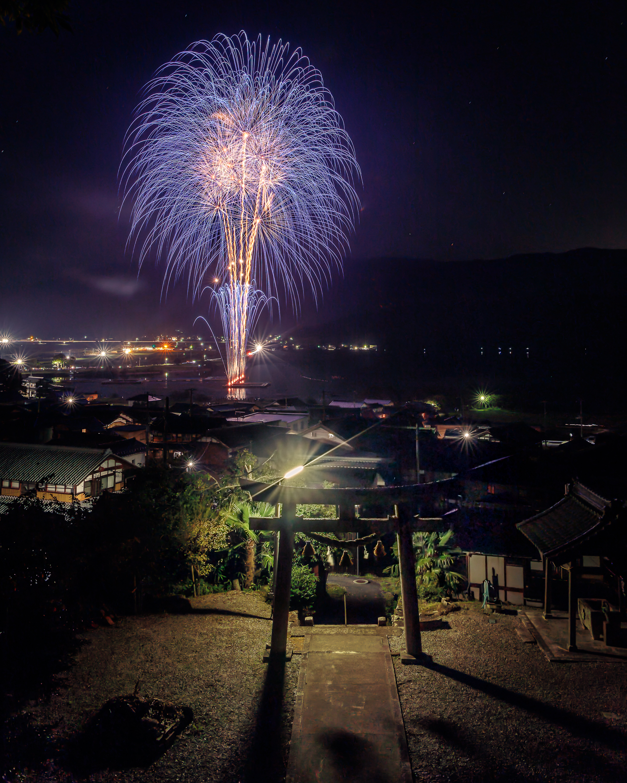 撮りにこんせ‼フォトコンテスト|滋賀・長浜北部|11月14日2枚目 秋に咲いた大きな花