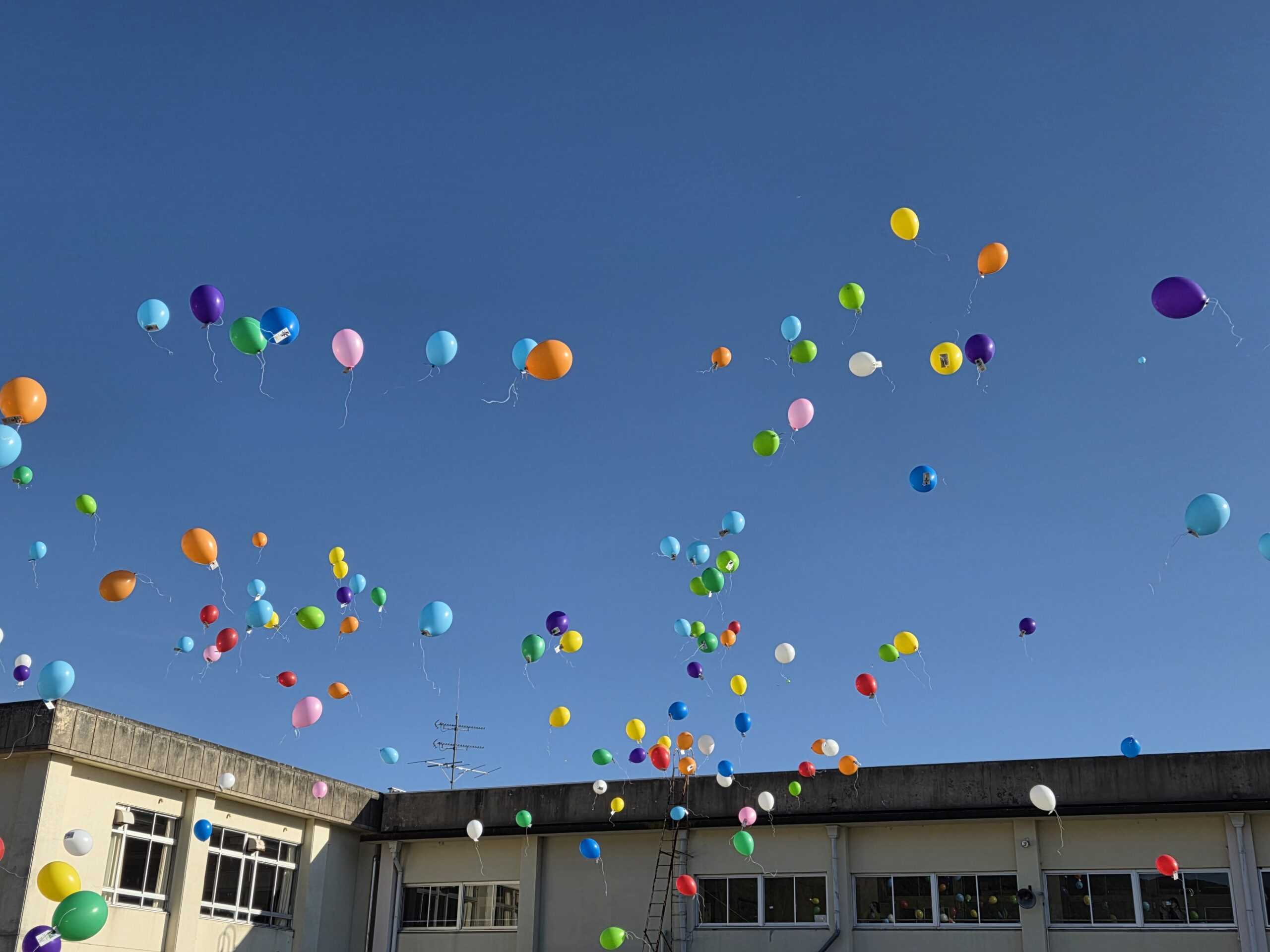 撮りにこんせ‼フォトコンテスト|滋賀・長浜北部|11月21日2枚目 夢を乗せて