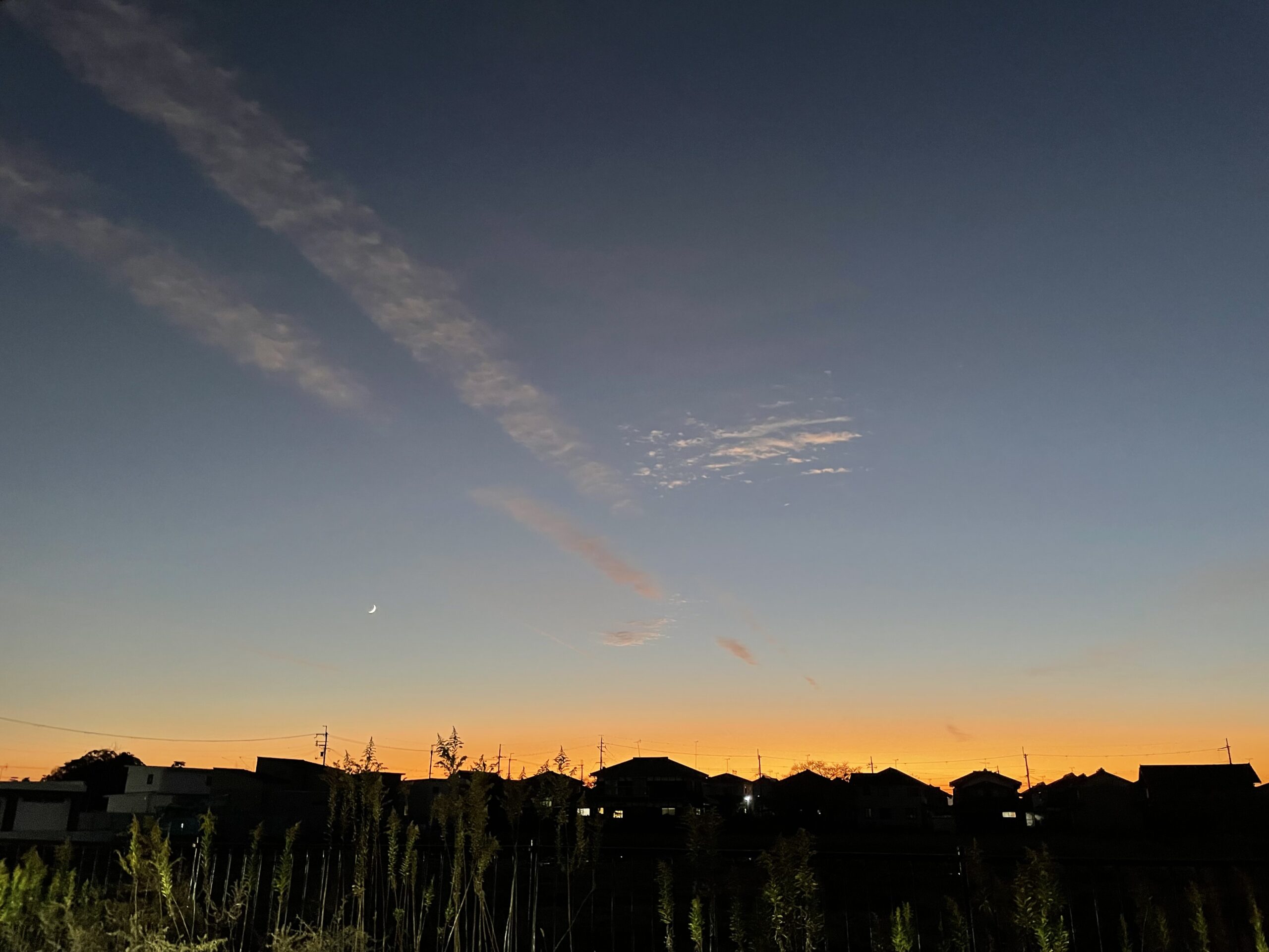 撮りにこんせ‼フォトコンテスト|滋賀・長浜北部|11月28日2枚目 秋の夕暮れ