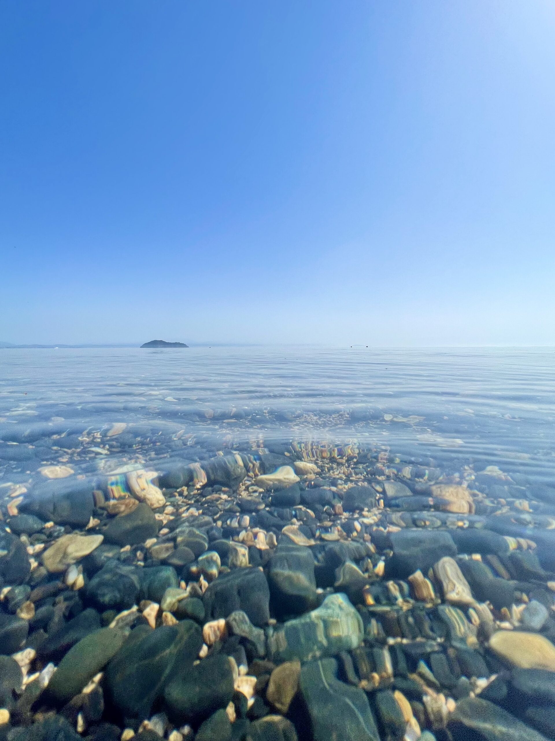 撮りにこんせ‼フォトコンテスト|滋賀・長浜北部|11月11日3枚目 神秘の島　竹生島