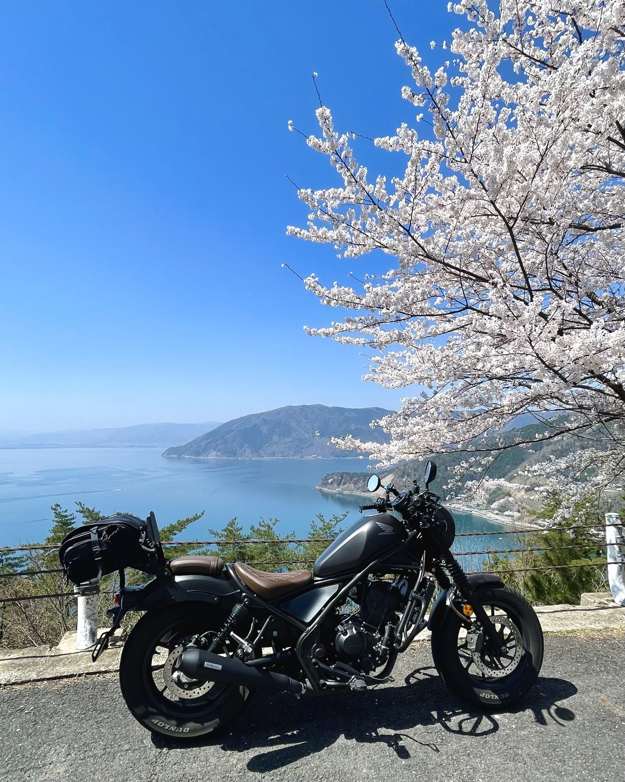 撮りにこんせ‼フォトコンテスト|滋賀・長浜北部|11月11日4枚目 思わず声が出て出てしまう絶景