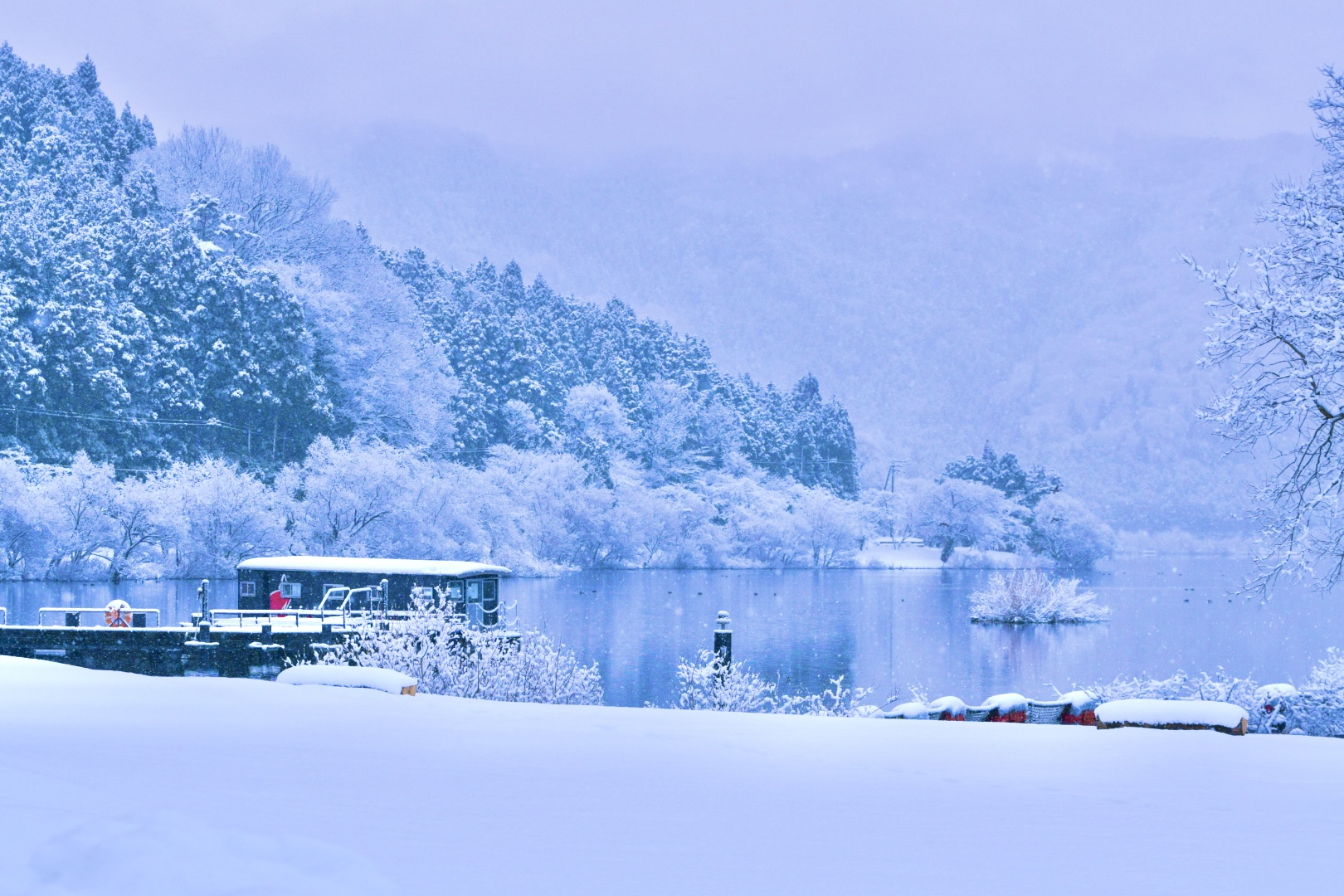 撮りにこんせ‼フォトコンテスト|滋賀・長浜北部|11月14日4枚目 凍てつく世界