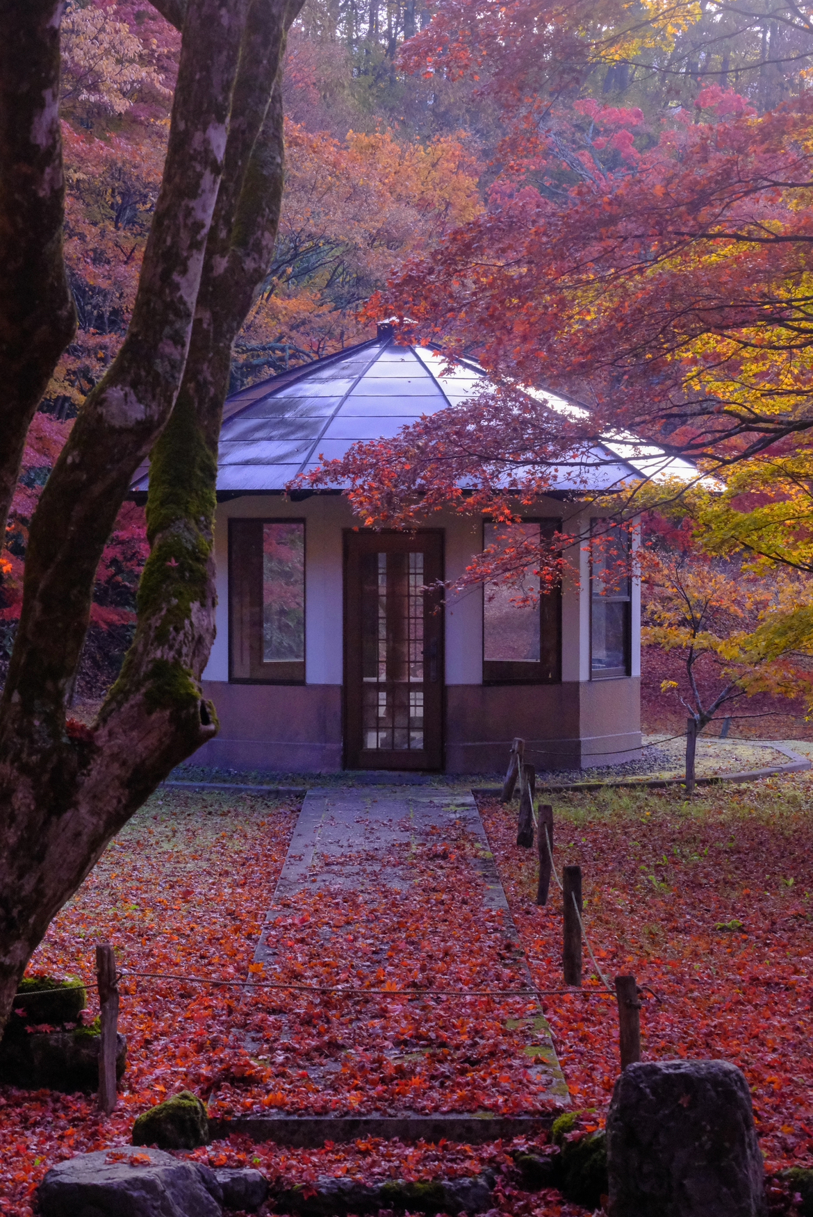 撮りにこんせ‼フォトコンテスト|滋賀・長浜北部|11月28日5枚目 赤に佇む