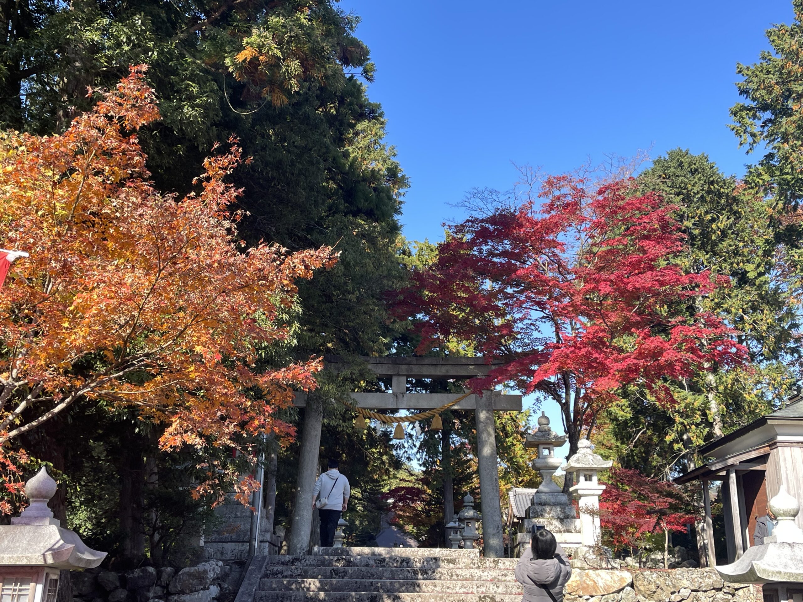 撮りにこんせ‼フォトコンテスト|滋賀・長浜北部|11月21日7枚目 秋晴れ