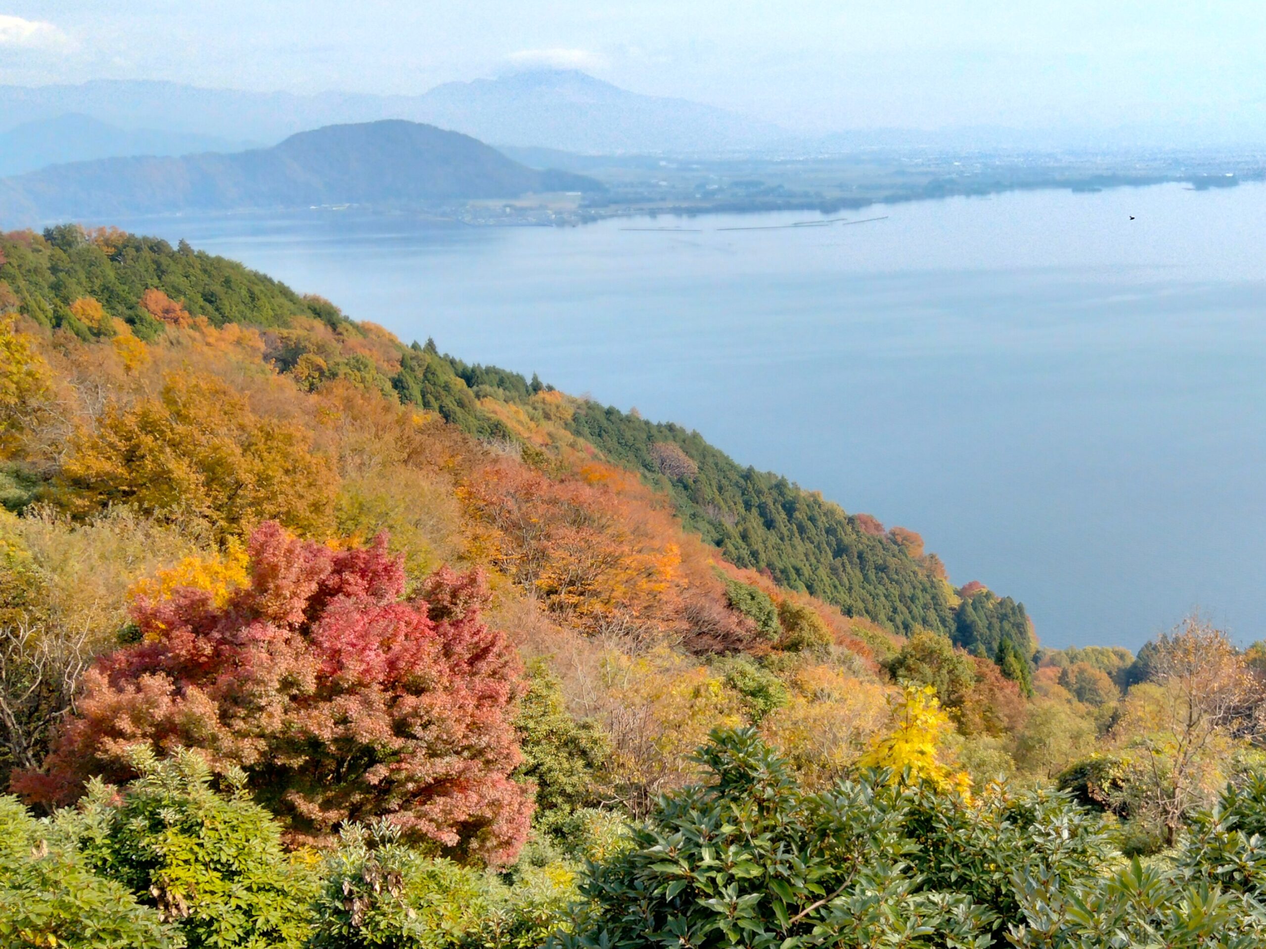 撮りにこんせ‼フォトコンテスト|滋賀・長浜北部|11月28日8枚目 秋の山から伊吹を望む。