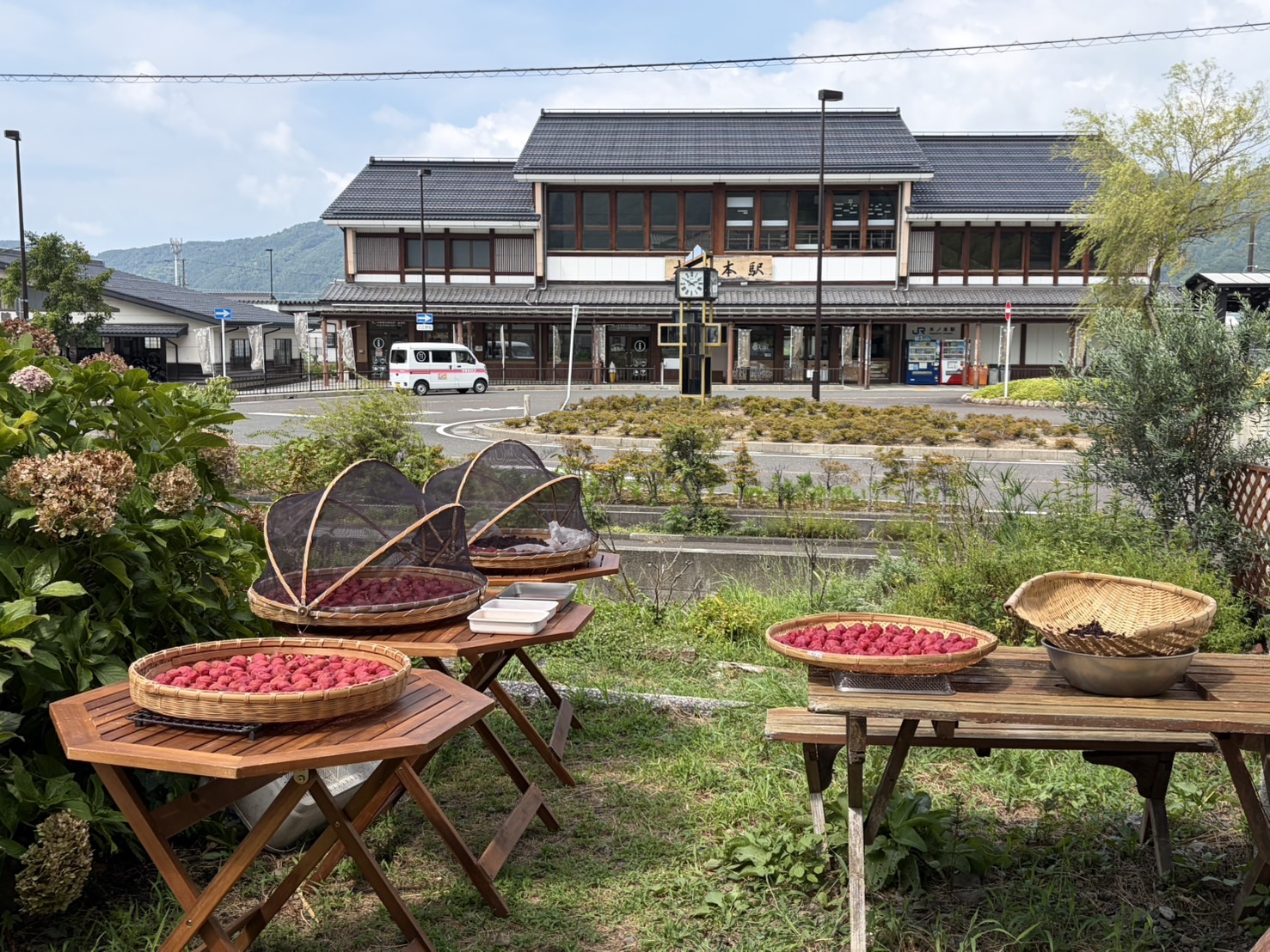 撮りにこんせ‼フォトコンテスト|滋賀・長浜北部|091810_梅仕事