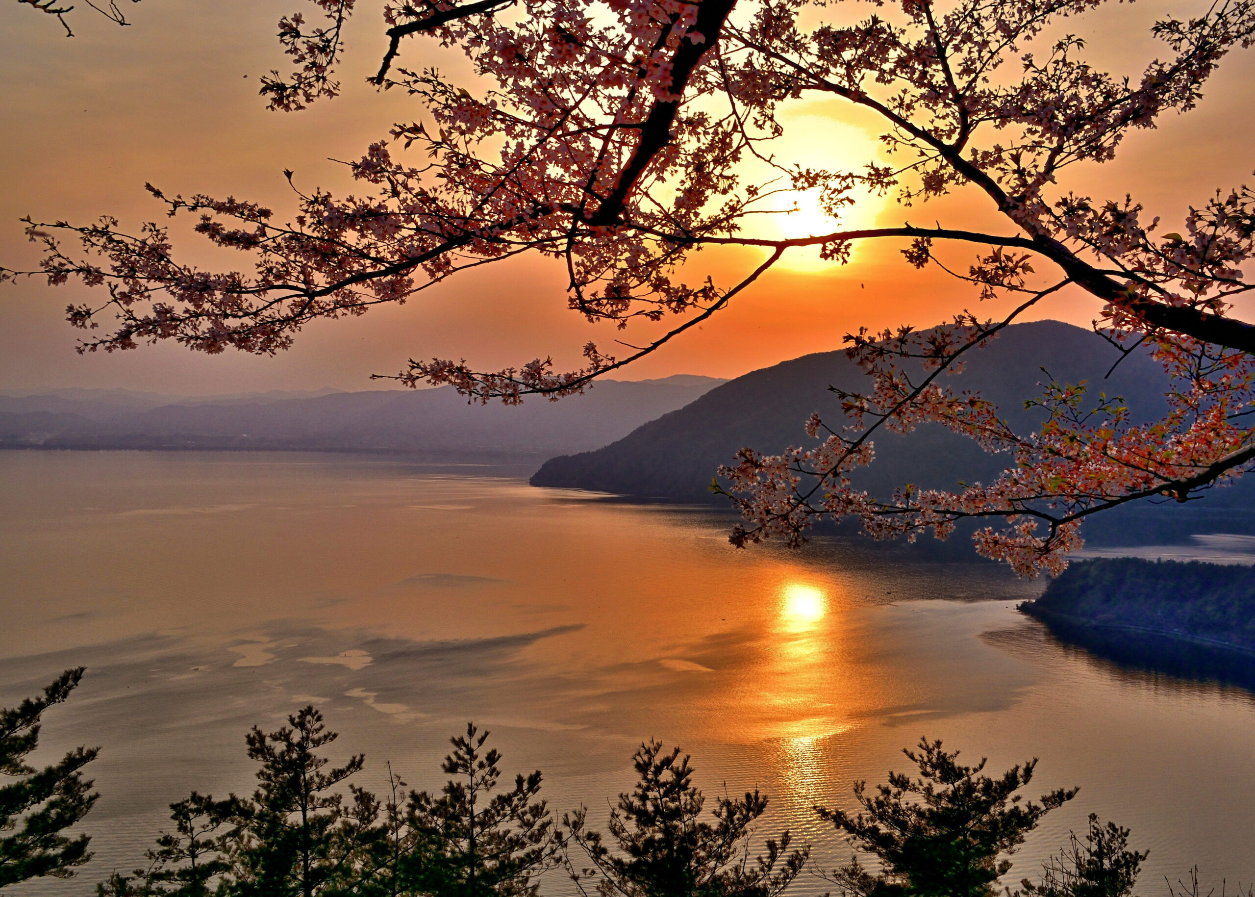 撮りにこんせ‼フォトコンテスト|滋賀・長浜北部|093004_琵琶湖の夕景