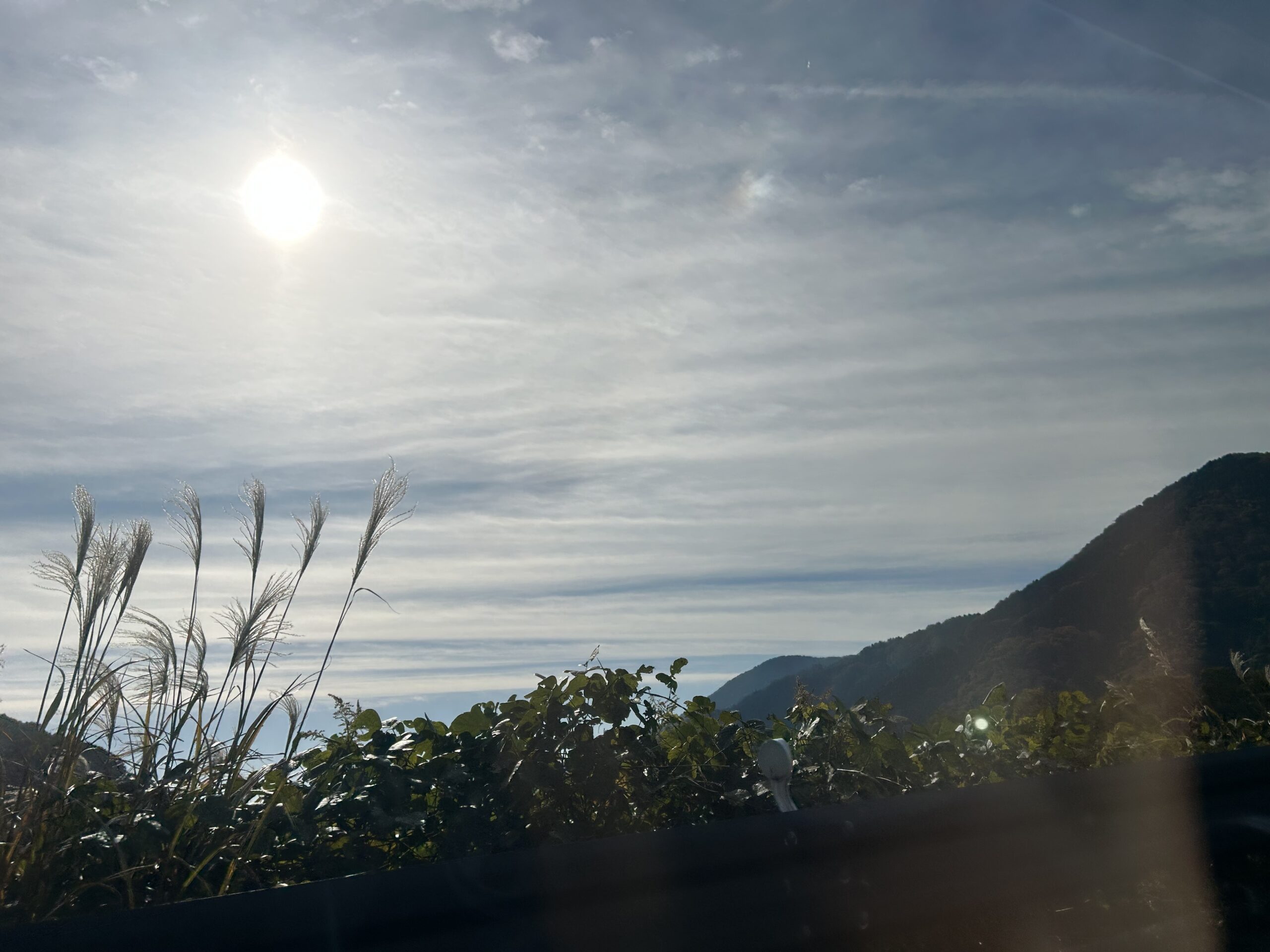 撮りにこんせ‼フォトコンテスト|滋賀・長浜北部|100702_私が見た秋の風景
