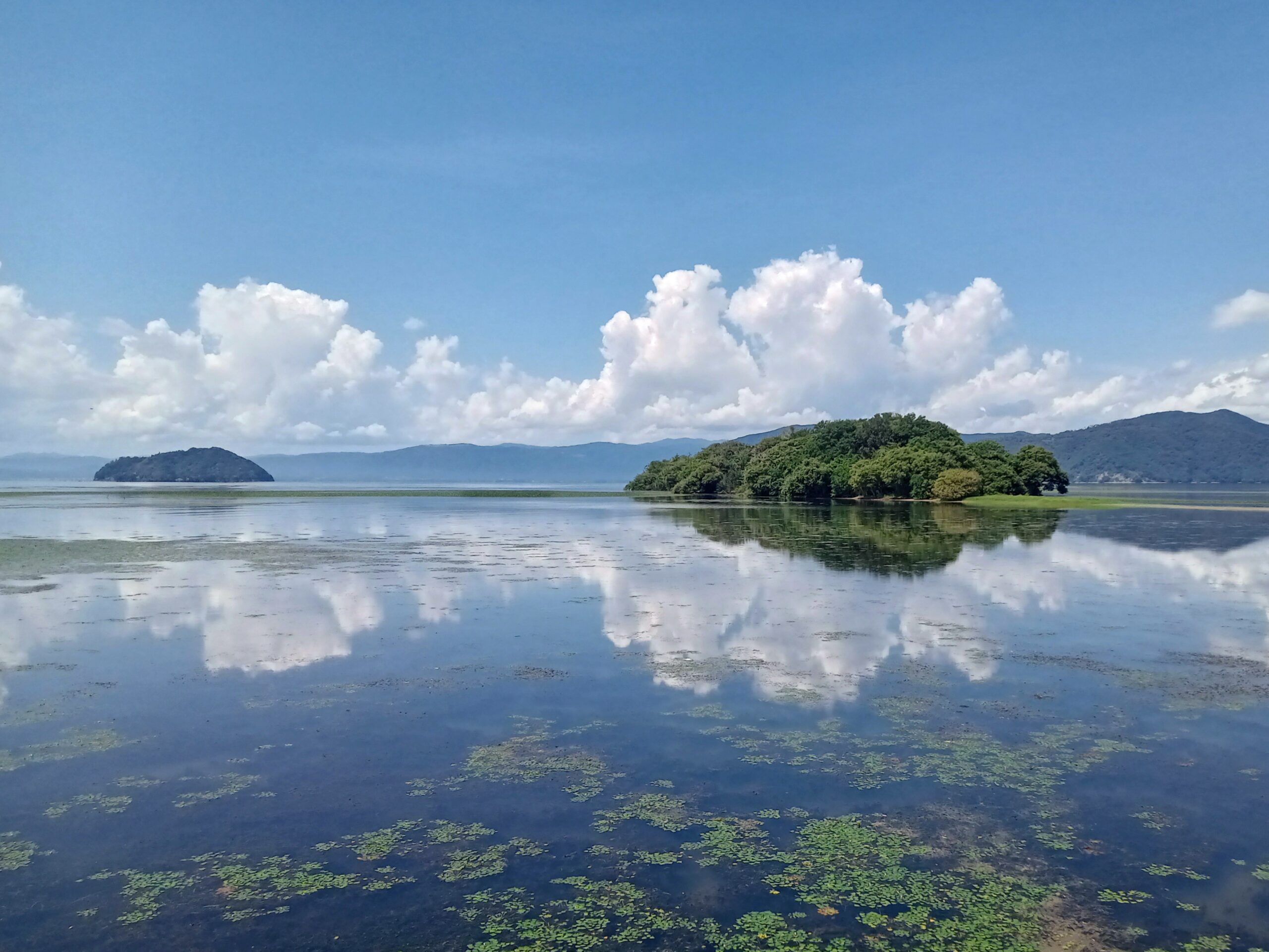 撮りにこんせ‼フォトコンテスト|滋賀・長浜北部|100207_湖北の夏